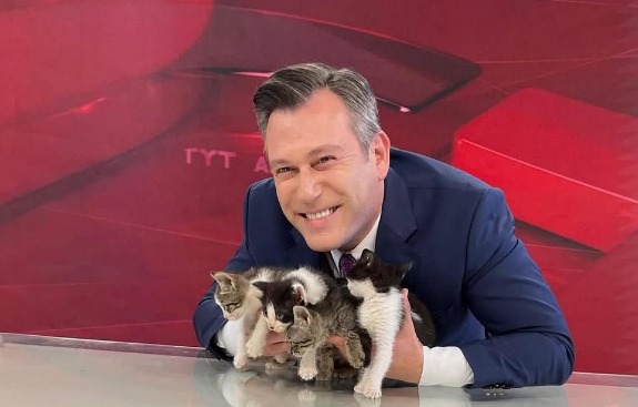 Periodista interrumpe noticiero en vivo para ayudar a gatos a encontrar familia