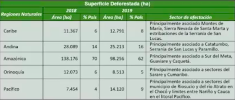 La pérdida de bosque disminuyó un 19,2 % según los cálculos de Ideam con respecto a la tendencia proyectada por sus científicos.