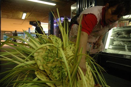 Gobierno invita a celebrar la Semana Santa sin hacer daño a la naturaleza
