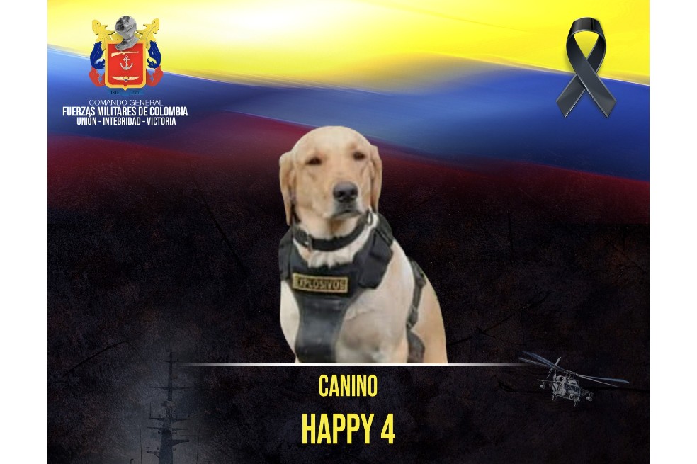Él era Happy 4, el perro antiexplosivos que murió tras atentado en Puerto Rico, Meta