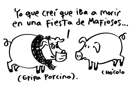 Gripa porcina