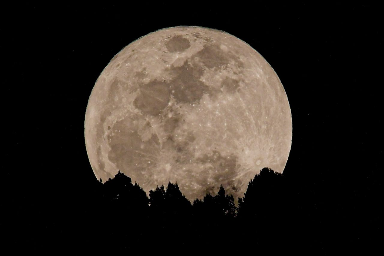Luna de fresa junio 2025: cuándo y cómo verla desde Colombia