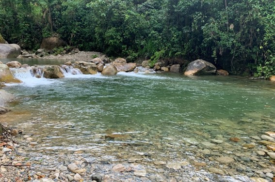 Colombia sí necesita el Acuerdo de Escazú