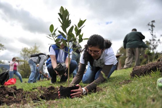 Jóvenes se proponen sembrar 5.000 árboles este sábado en Bogotá 