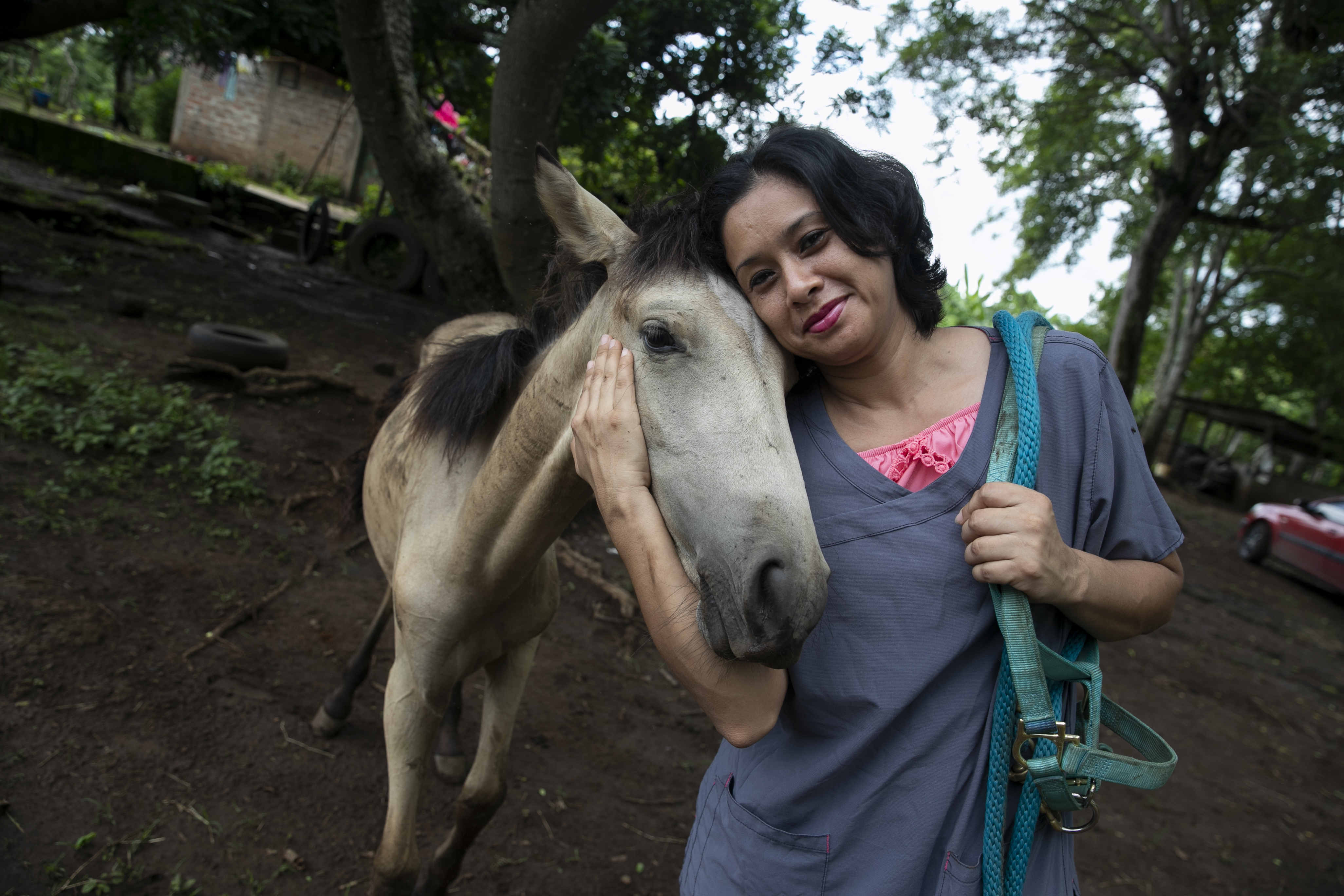 De la explotación a la vida: el refugio donde rescatan caballos en Nicaragua