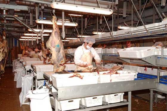 Tras operativos, Policía incautó 1.100 kilos de carne en Barrancabermeja