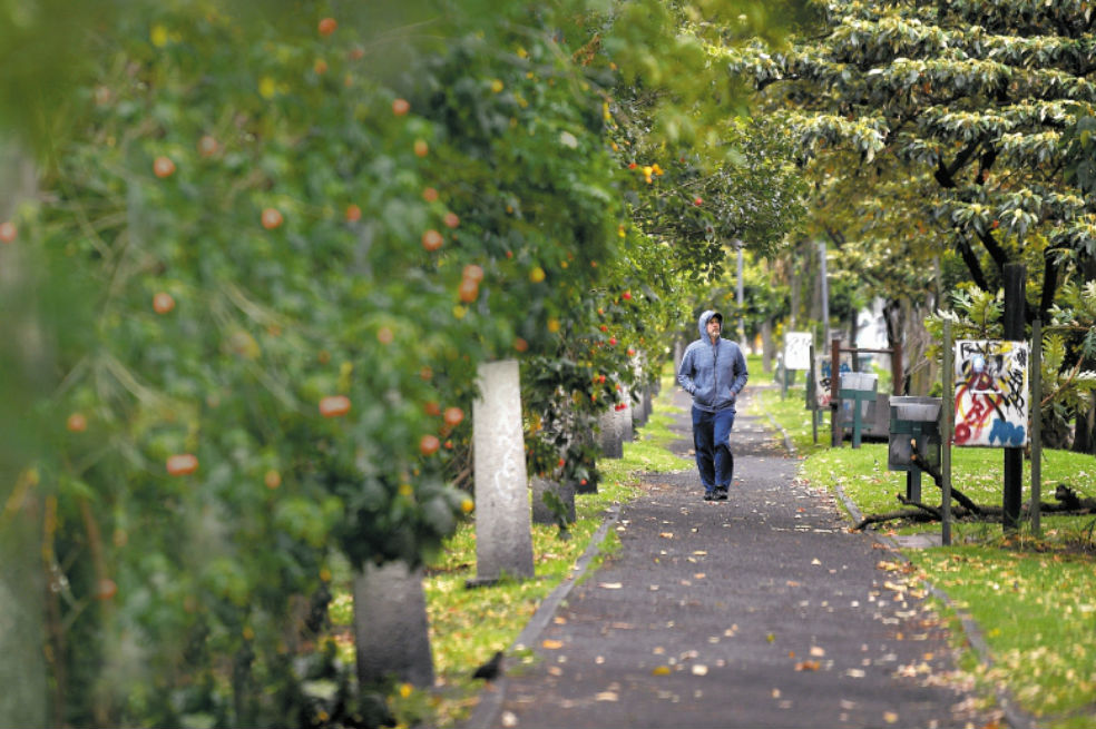 Primer choque por corredores ambientales en Bogotá