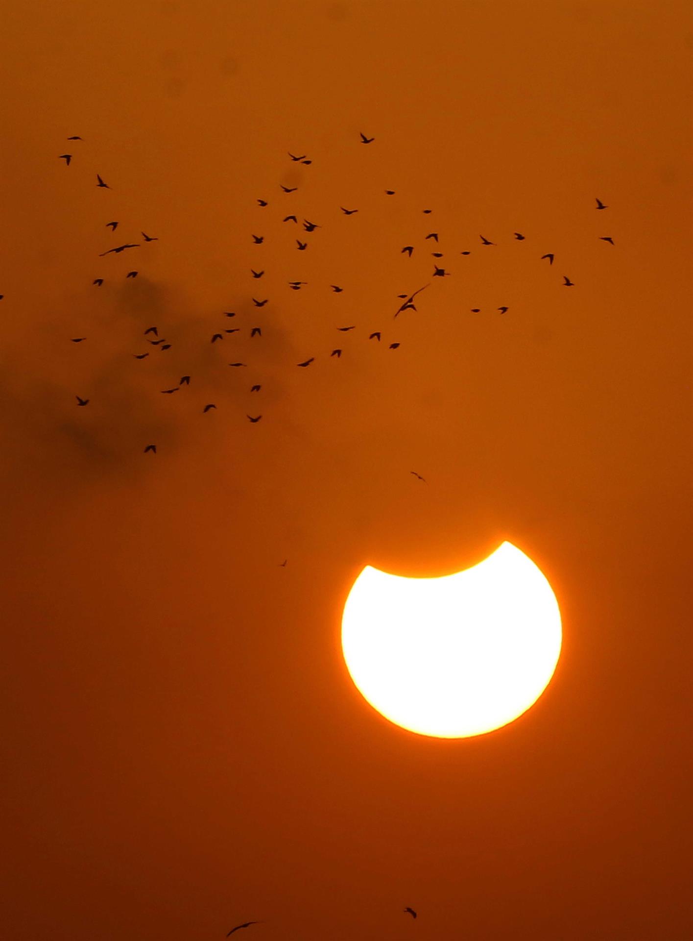 Vista de un eclipse solar parcial desde Karachi, Pakistán.