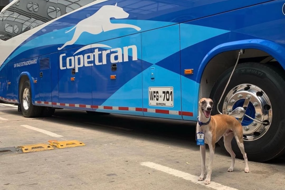 Esta es la historia de Cope, el famoso perrito de Copetran