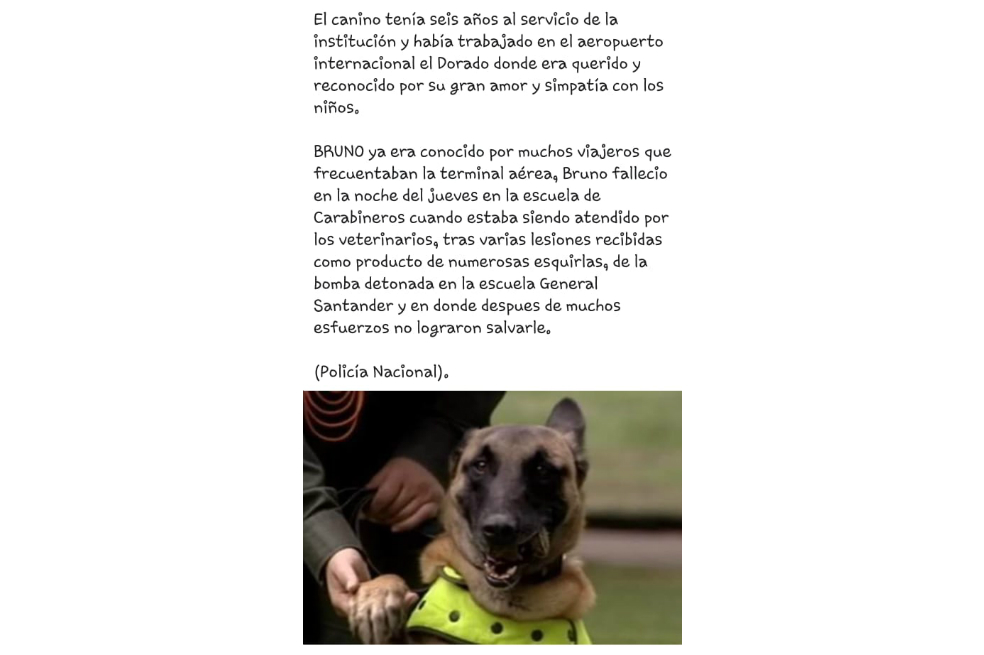 Las cinco noticias falsas que dejó el atentado en la Escuela General Santander de Bogotá