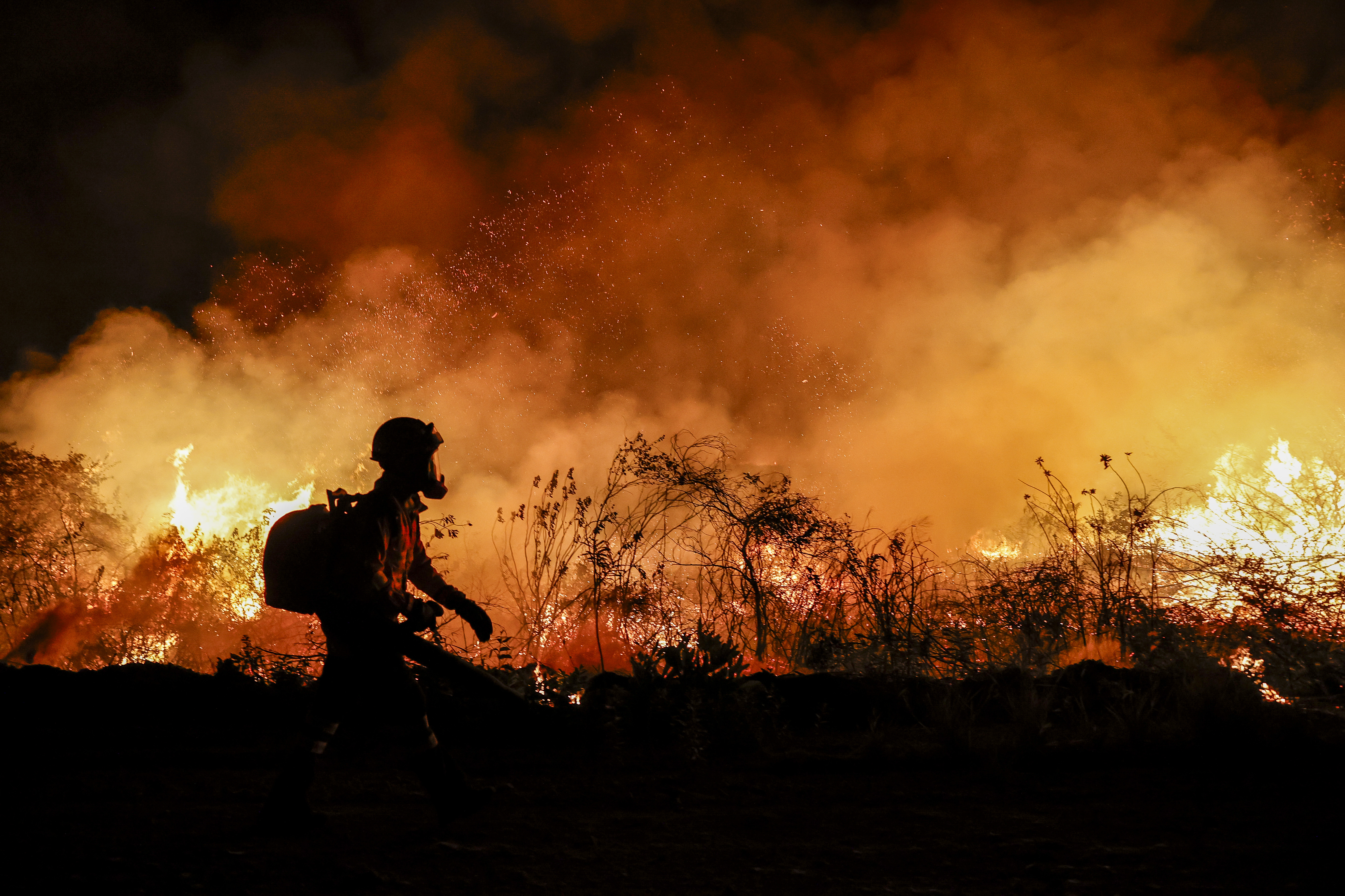 Incendios en Amazonía brasileña durante primer semestre son los peores en 20 años