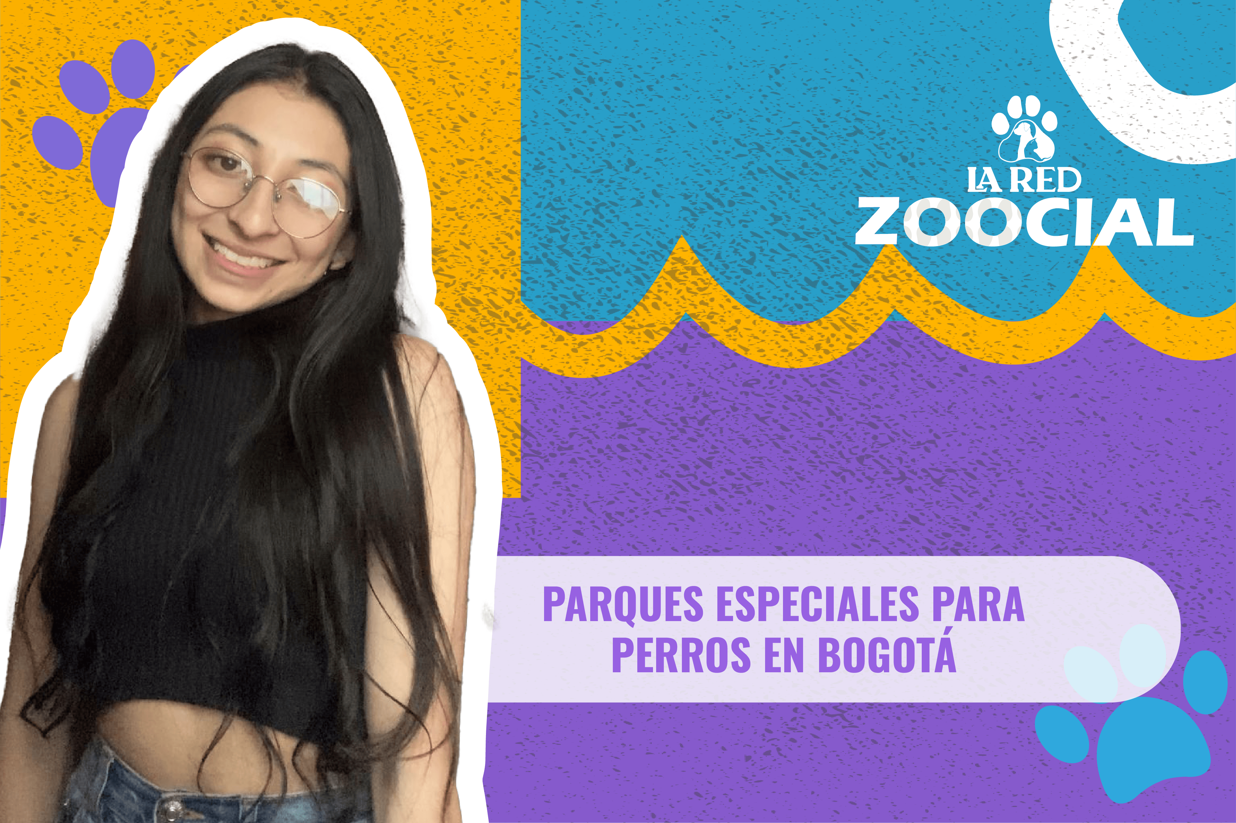Conozca estos tres parques especiales para perros en Bogotá