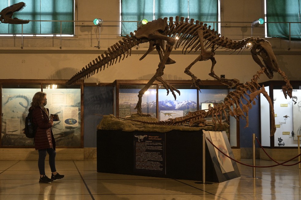 ¿Los dinosaurios eran de sangre caliente o de sangre fría?