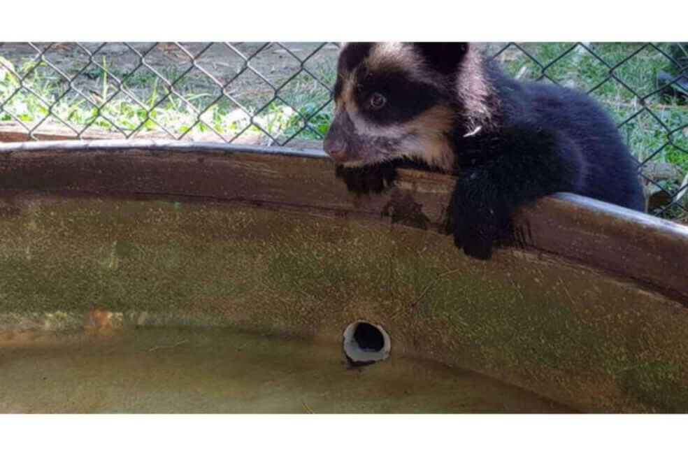 Zoológico de Barranquilla solo tendría presupuesto para mantenerse durante agosto