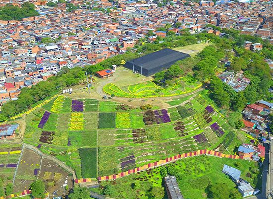 Moravia convirtió un basurero en uno de los jardines más grandes de Colombia y en un rincón turístico inesperado.