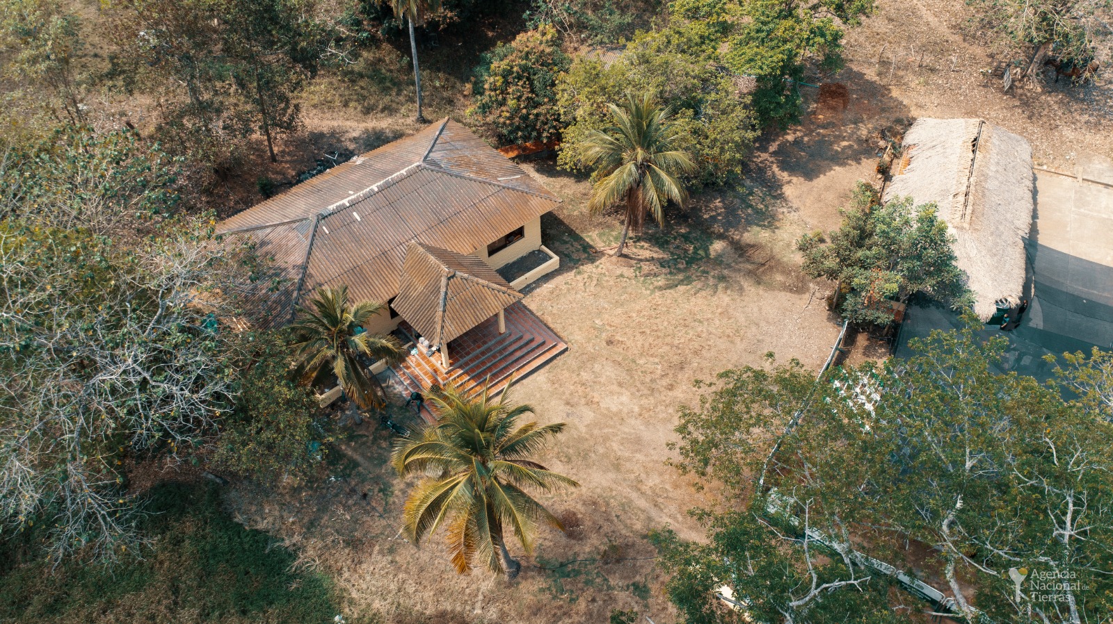 Reforma agraria: las advertencias de la Procuraduría sobre la compra de tierras