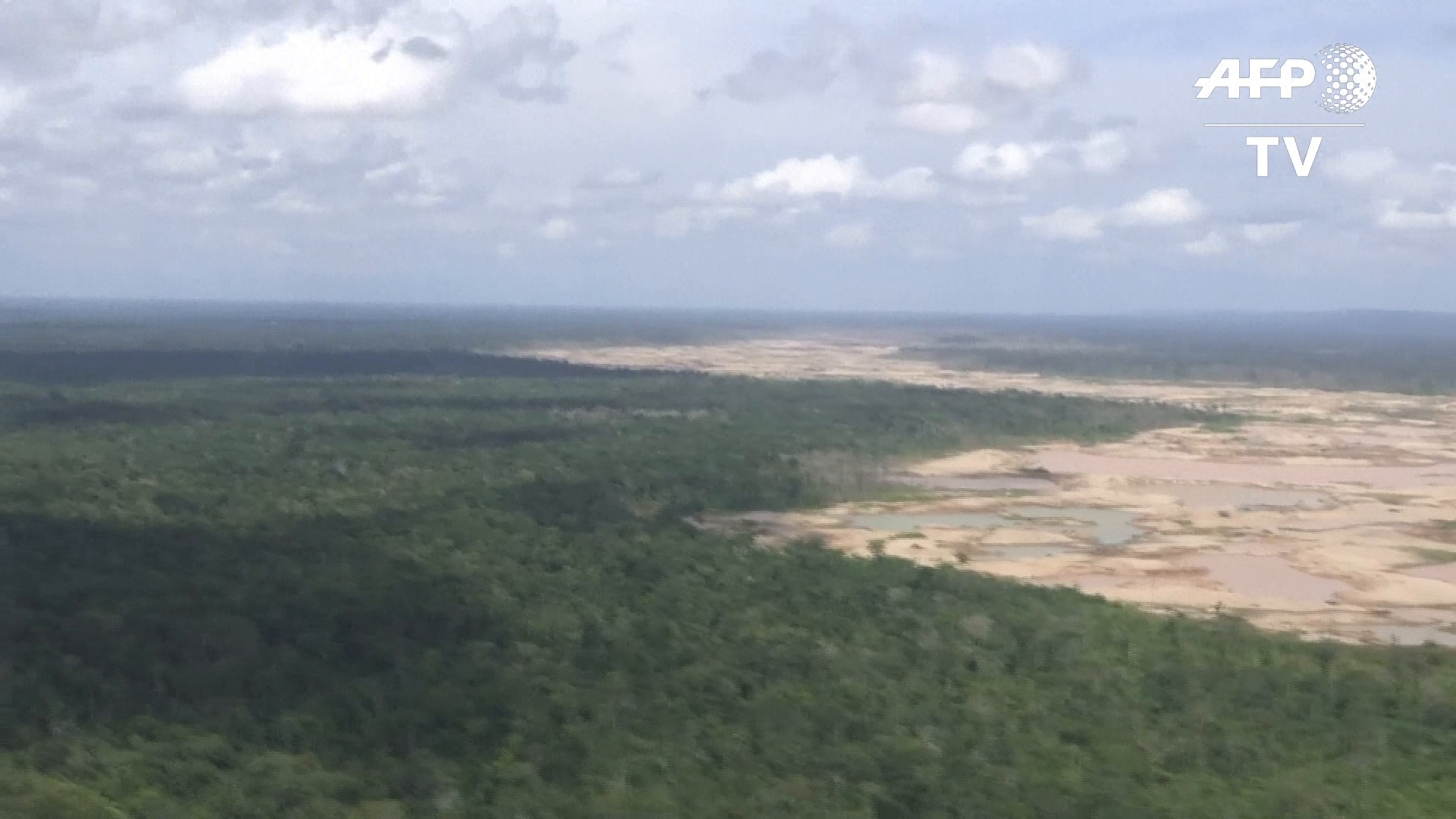 La Amazonía, cerca de su punto de no retorno: el 40% en riesgo de ser una sabana