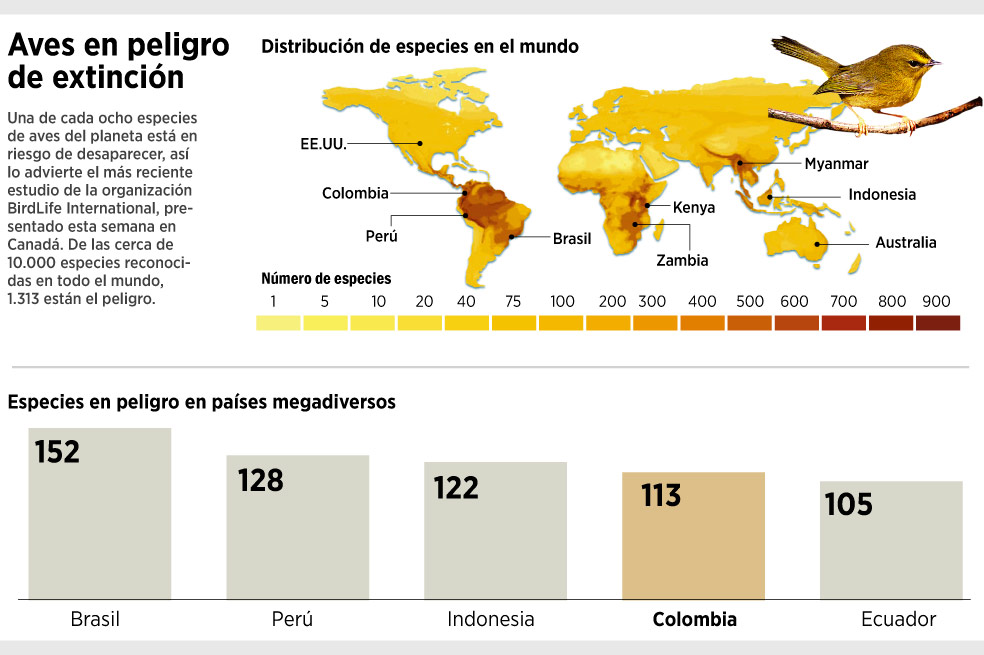 Poblaciones de aves, en peligro de extinción
