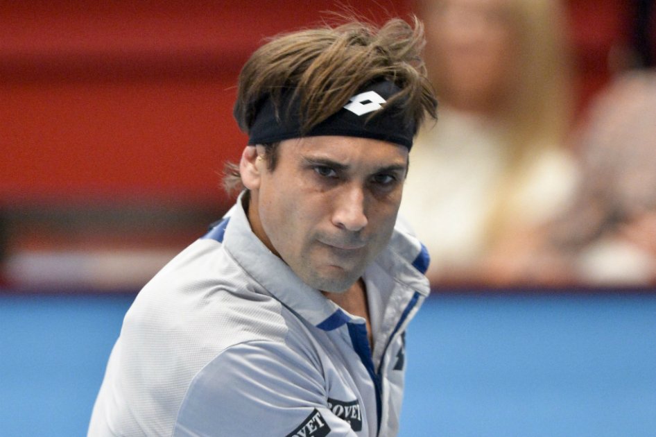 David Ferrer alcanza las semifinales del ATP de Viena