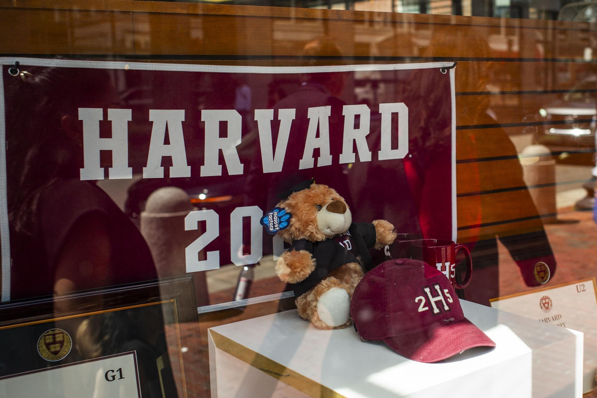 Bogotá será la sede de la Cumbre de las Américas organizada por estudiantes de Harvard