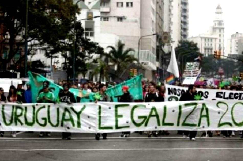 Uruguay incluiría venta de marihuana en farmacias