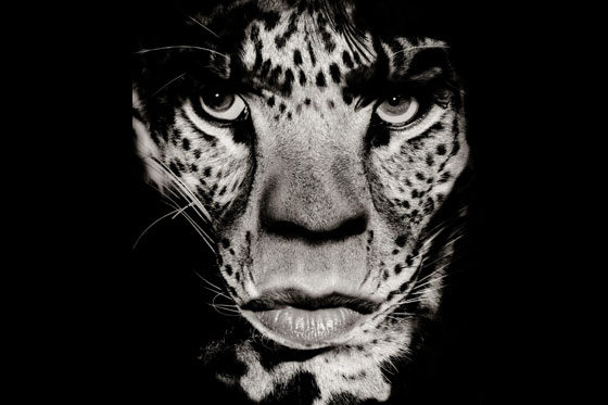 Rock