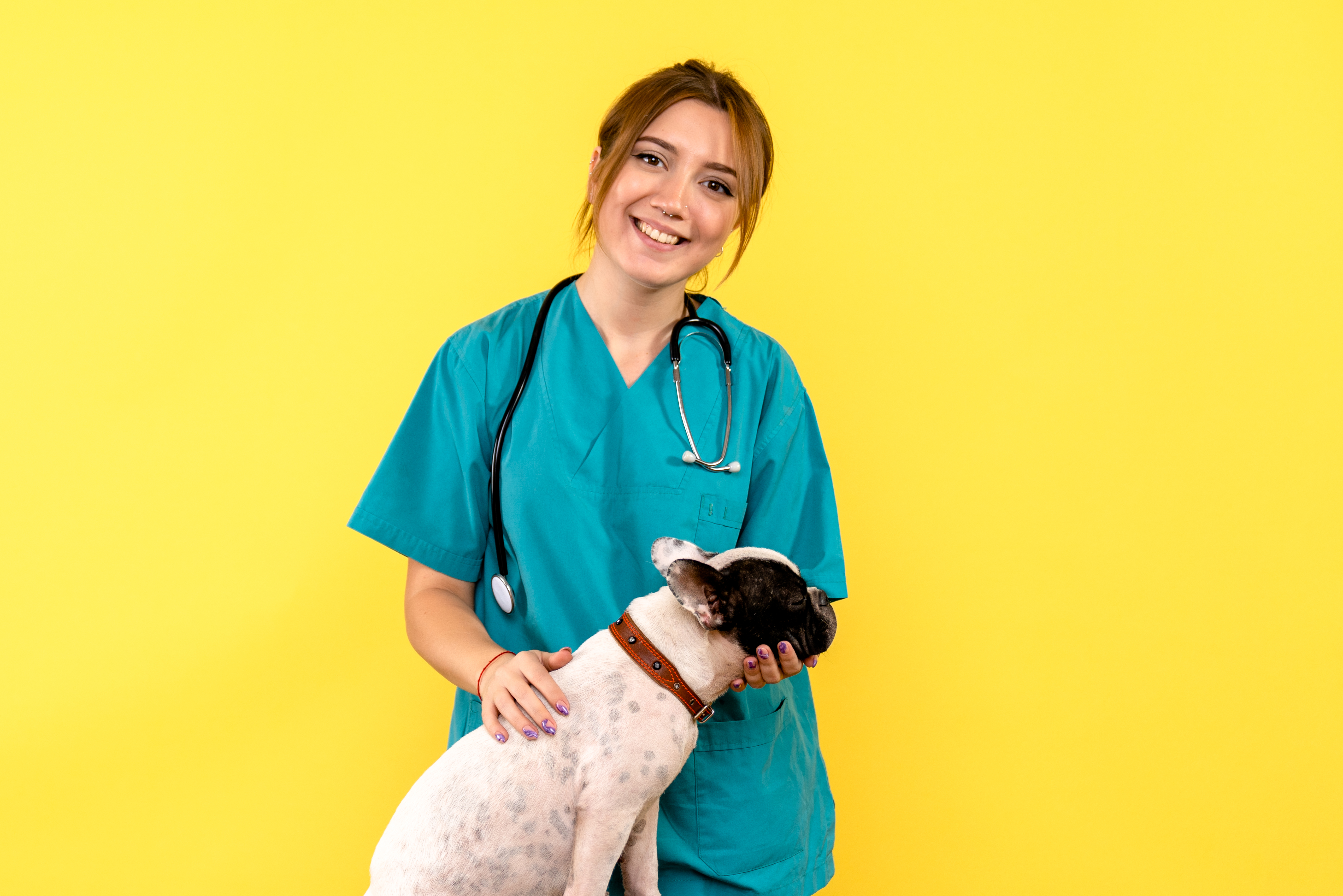 ¿Cómo saber si a su perro o gato lo atiende un verdadero veterinario?