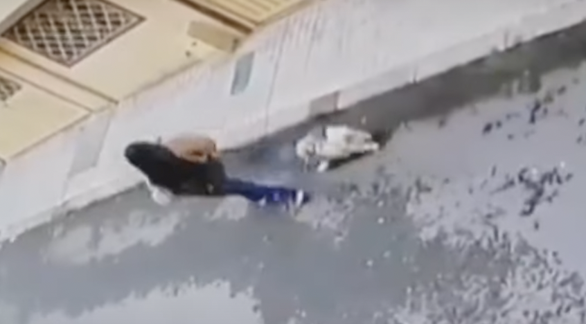 (Video) Mujer presuntamente robó perro en la puerta de un local en Usme
