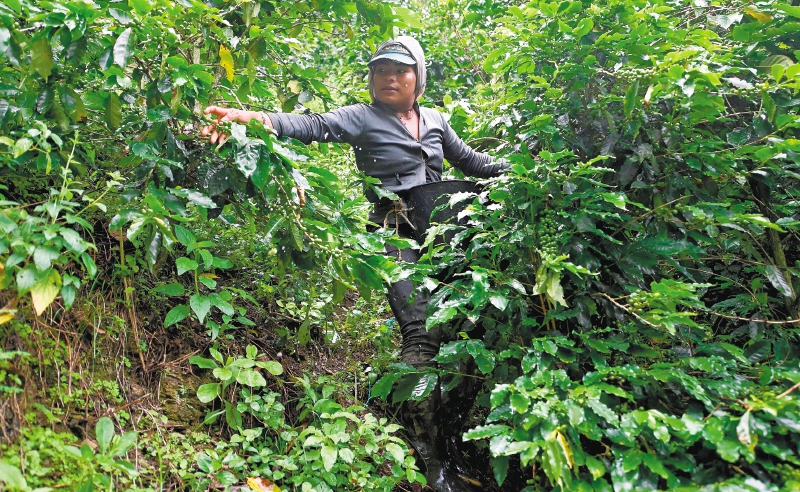 ¿Cómo está el campo tras un año de pandemia?