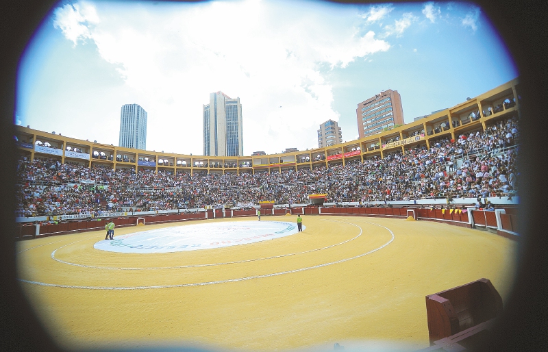 Tensión durante el regreso de los toros