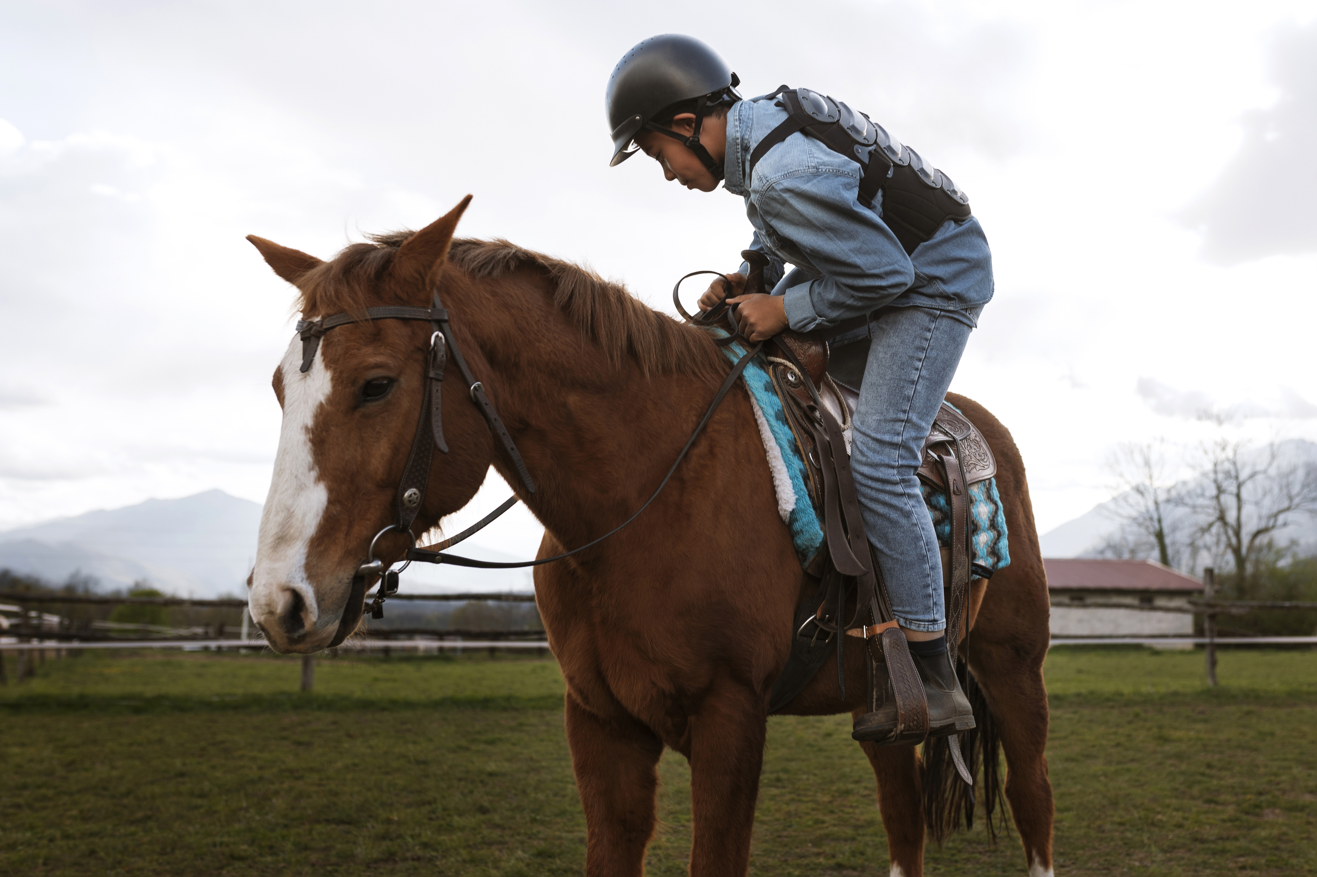 ¿Qué sienten los caballos al ser montados? Esto dicen los expertos