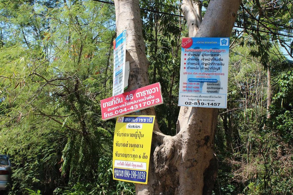 Un duelo entre conservación y progreso en el pulmón verde de Bangkok