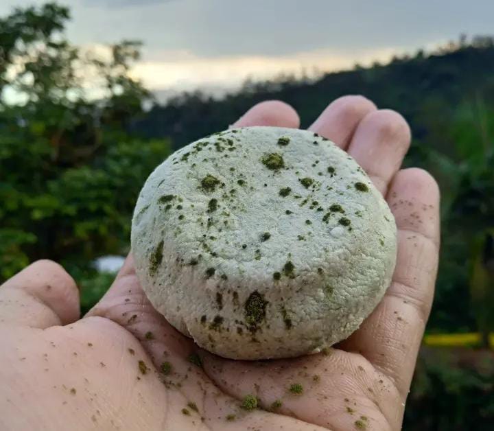 Queso de mambe