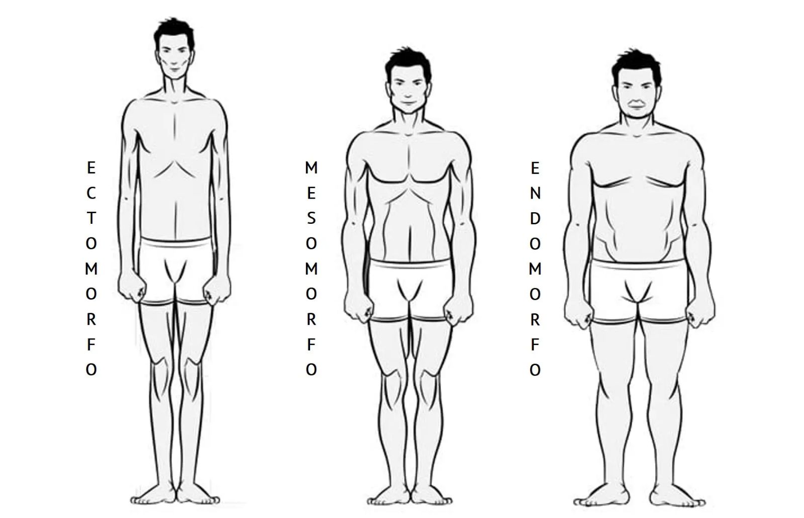 ¿Qué tipo de prendas usar según el tipo y silueta del cuerpo? Expertas le explican