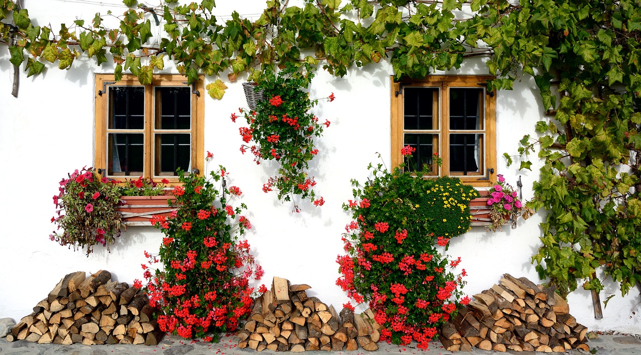 Ocho plantas enredaderas o trepadoras perfectas para cubrir paredes