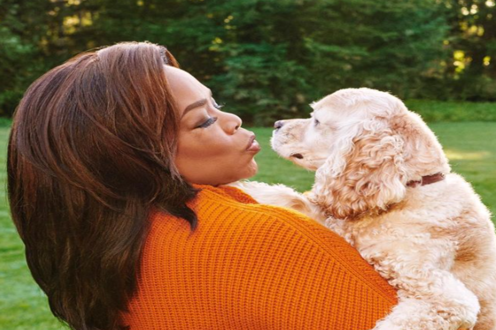 Las mascotas más ricas del mundo: la gata de Taylor Swift, el perro de Oprah y más