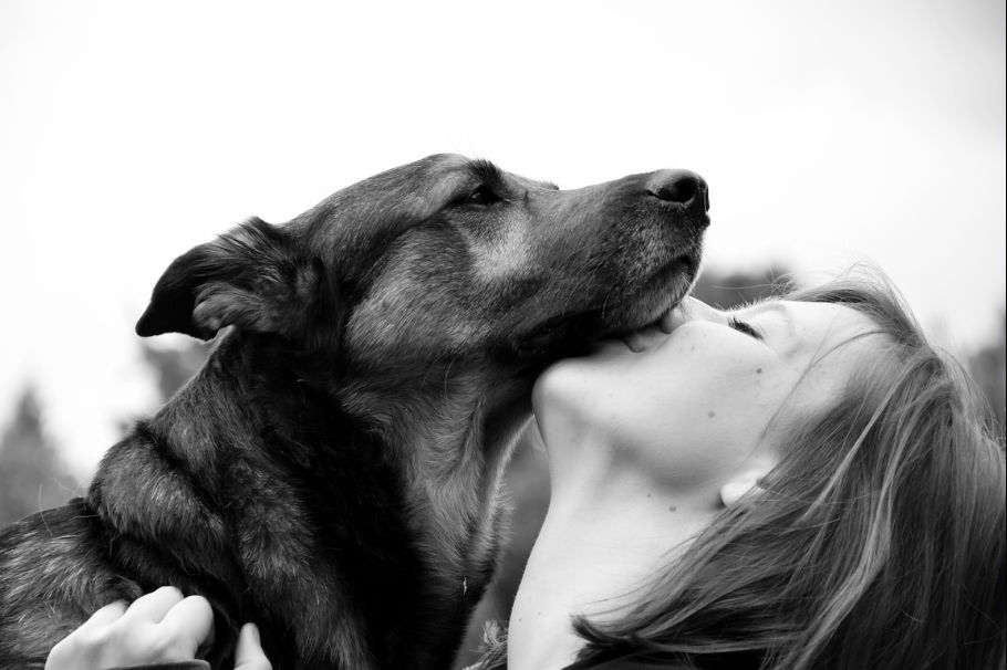 ¿Besas la boca de tu mascota?