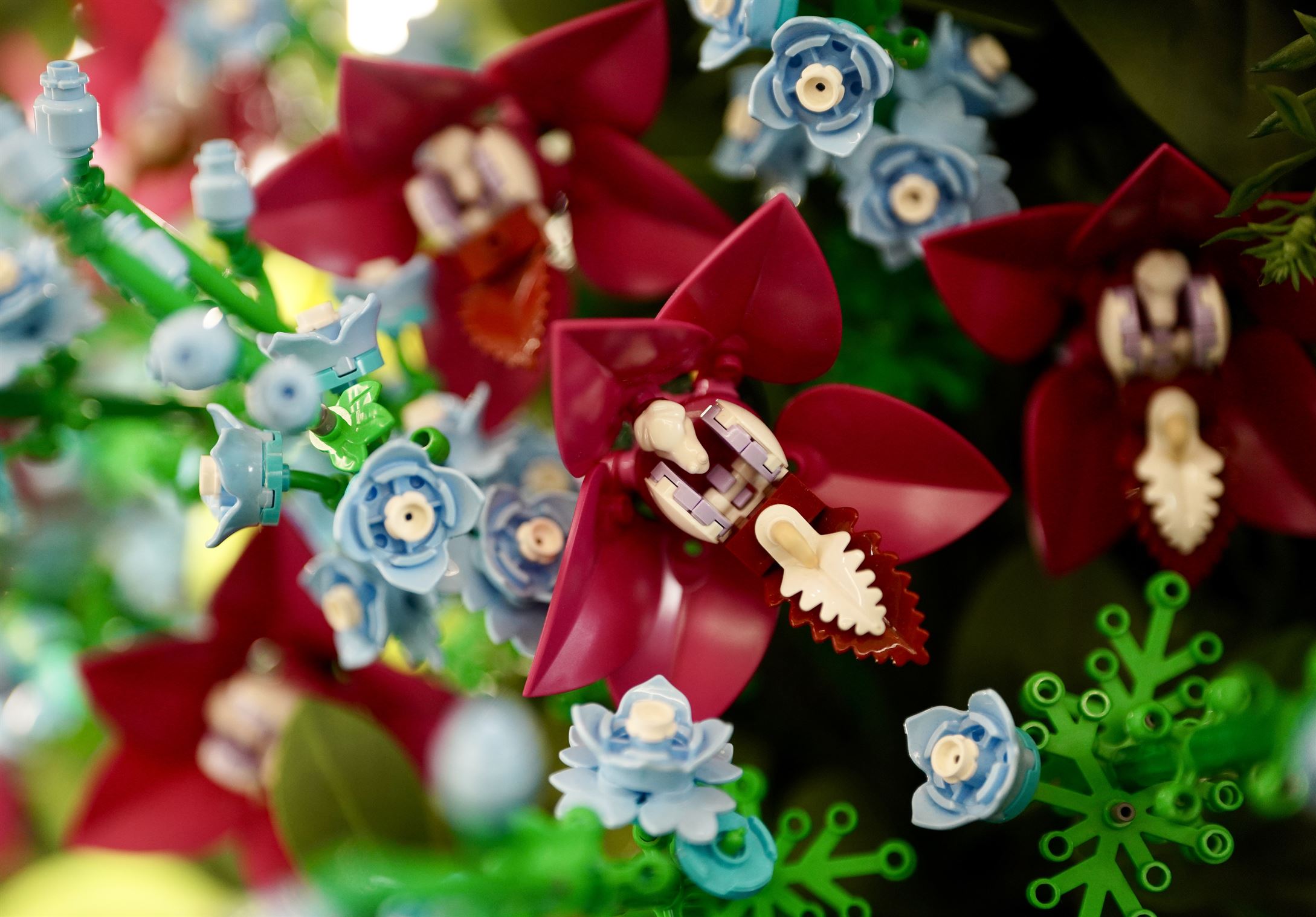 Esta innovadora exposición invita a descubrir la belleza de las plantas y las flores desde una perspectiva lúdica y artística, perfecta para todas las edades.