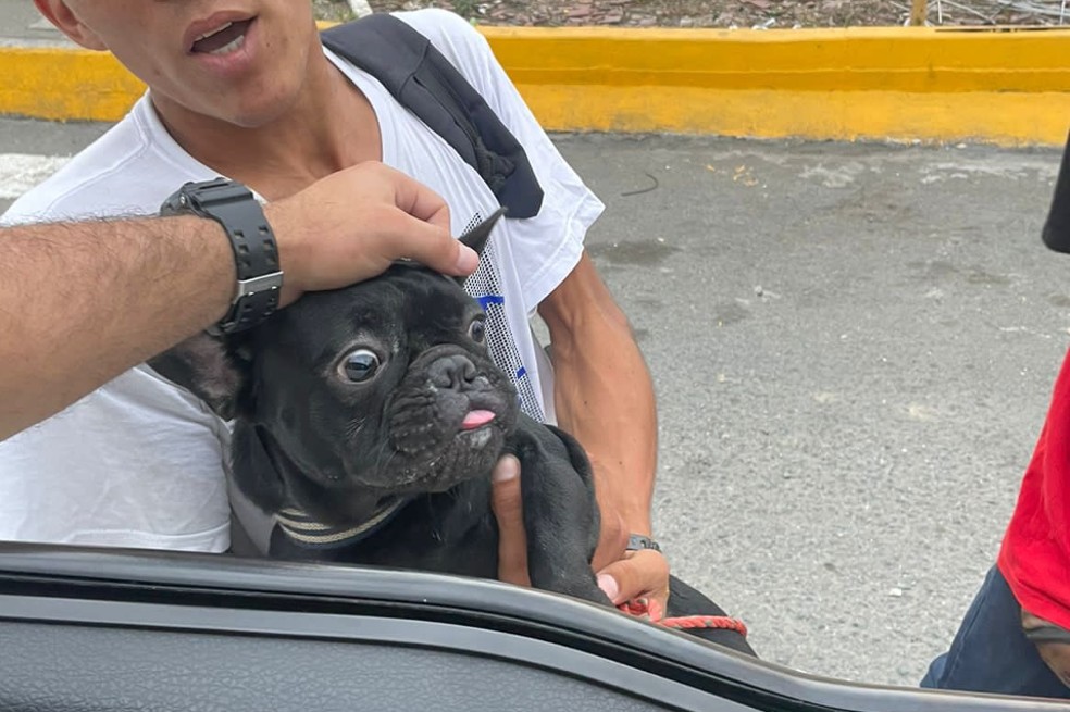 Su perro se perdió y luego descubrió que lo estaban vendiendo en la calle