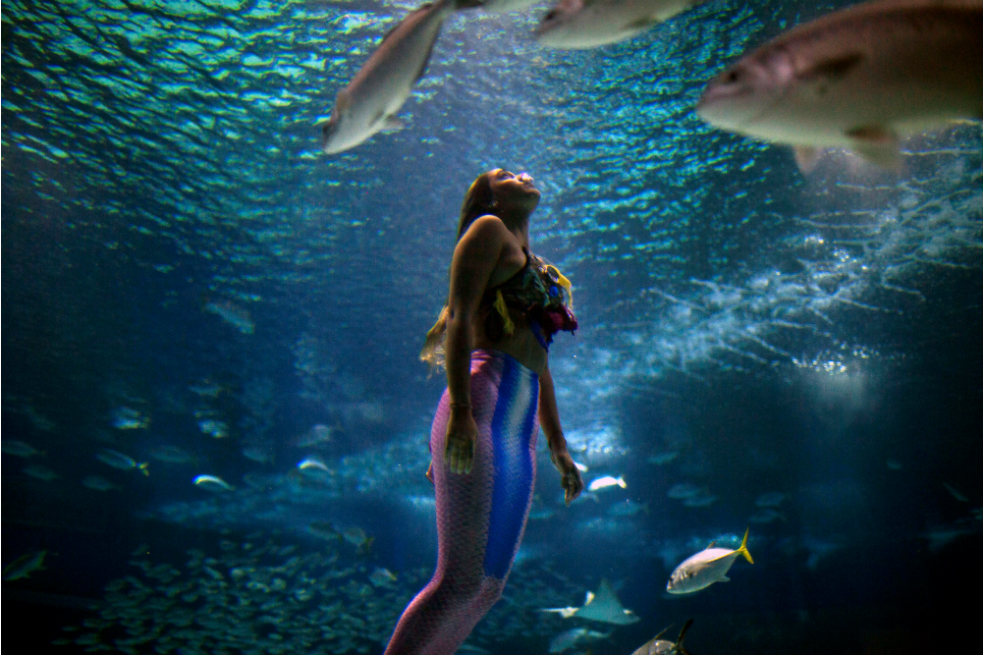 Una sirena brasileña lucha contra la contaminación de los mares