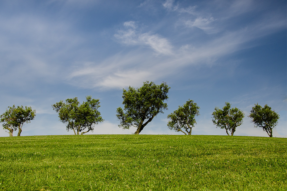 Empezamos a vivir a crédito con la naturaleza