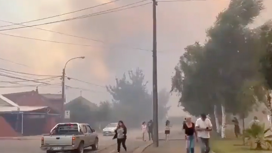 Más de 500 hectáreas consumidas por incendio forestal en Quillón, Chile