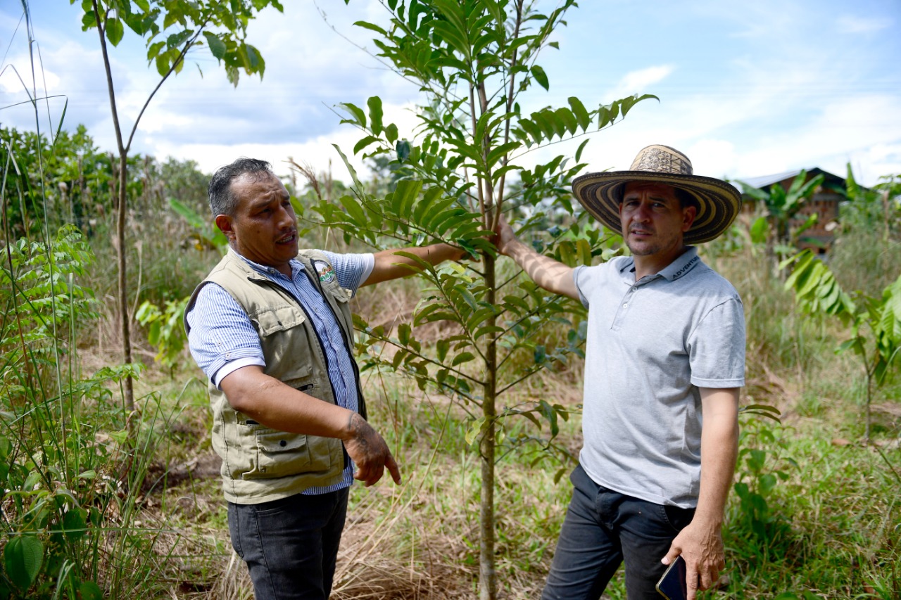 Exguerrillero y uribista lideran la conservación de la selva en Putumayo