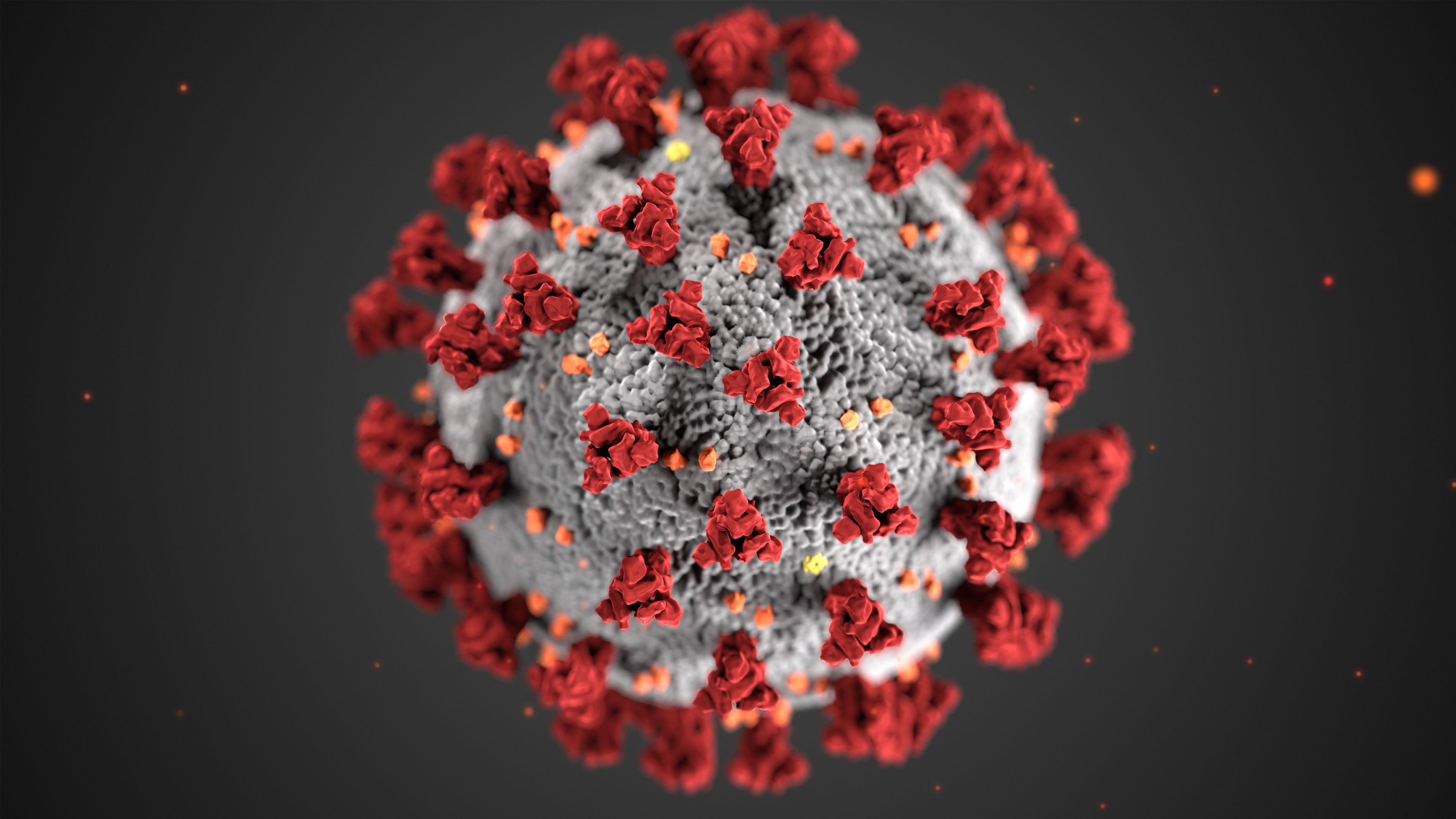 Estudios preliminares sugieren que las vacunas protegen contra la variante india del coronavirus