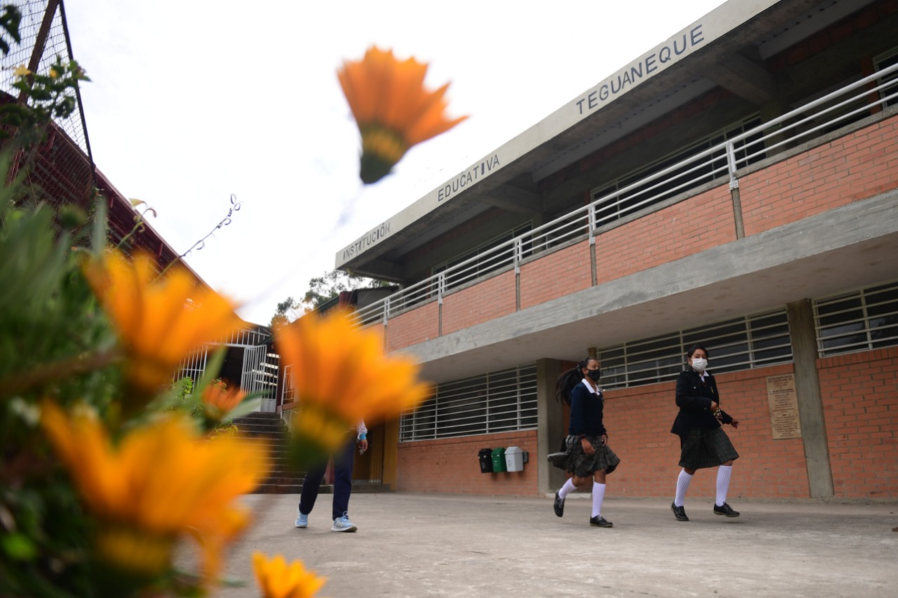 Escuela Teguaneque.