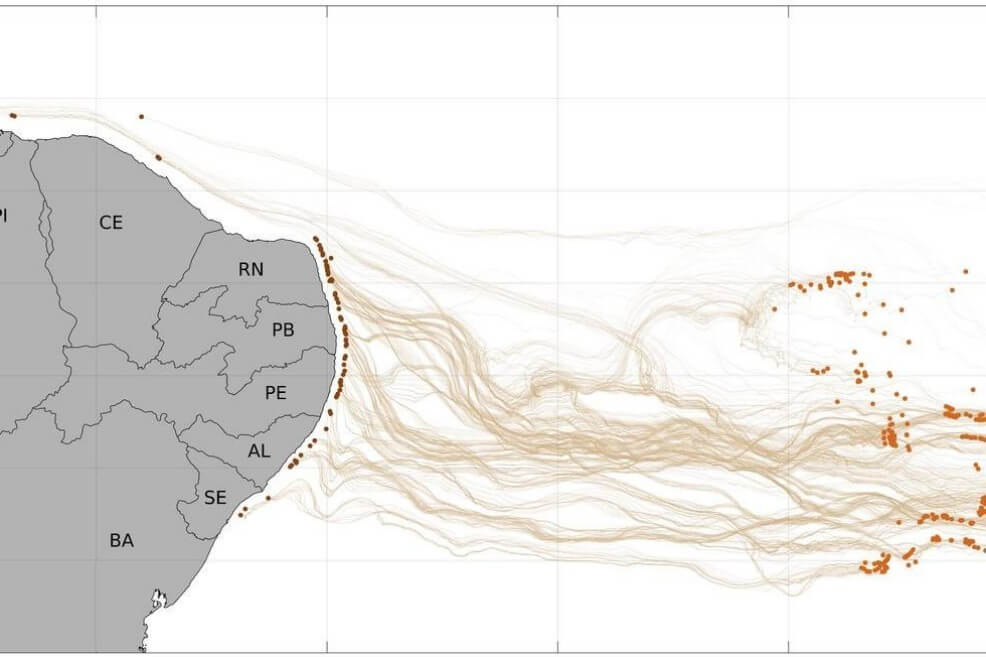 Hallan probable origen del petróleo que afecta la costa de Brasil