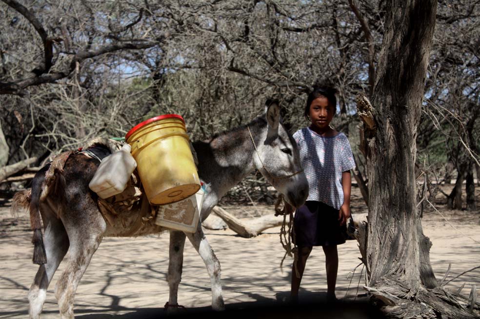 Un debate para no olvidar a La Guajira