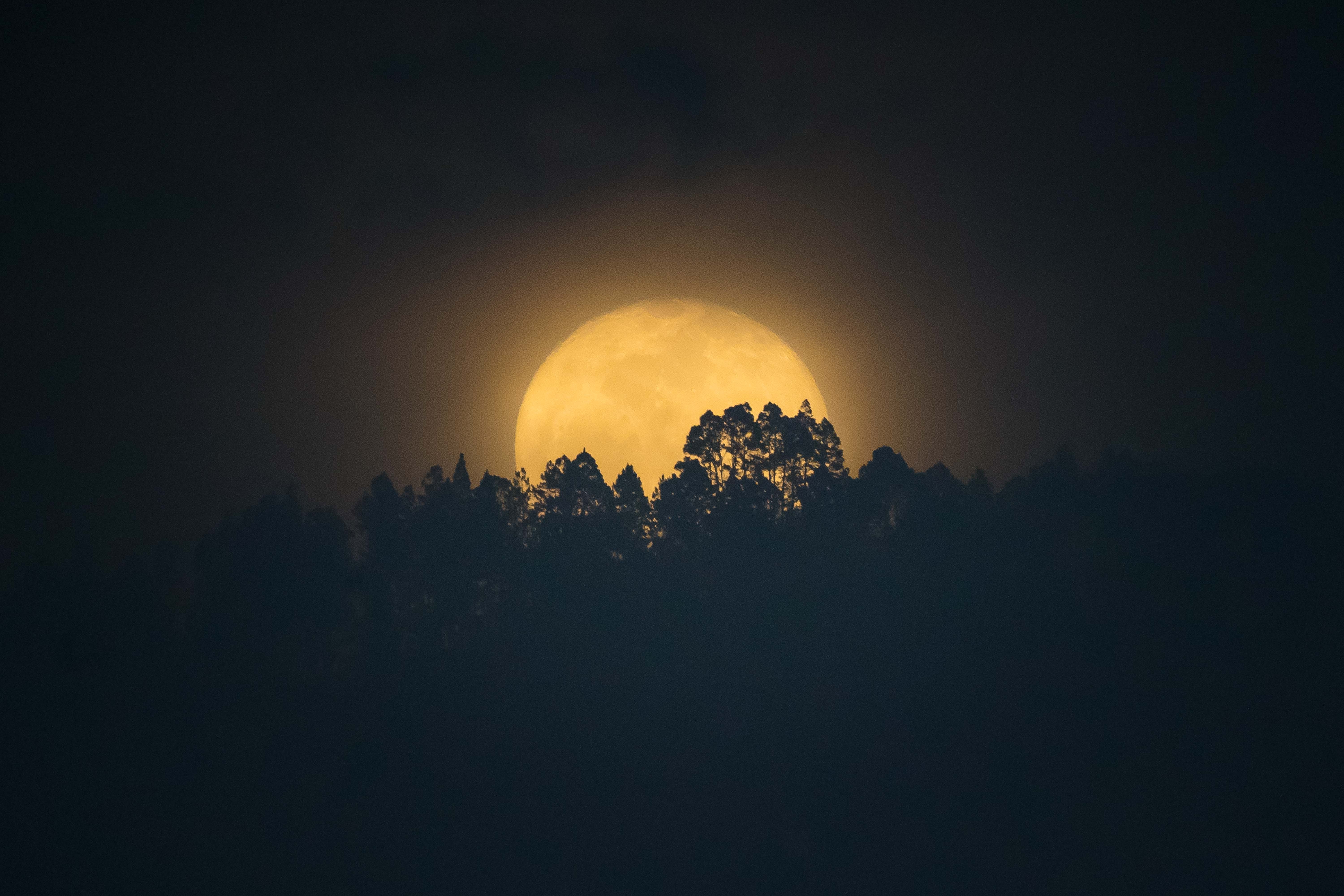 ¿Qué es la parada lunar, el escaso evento que se ve cada 18 años desde la Tierra?