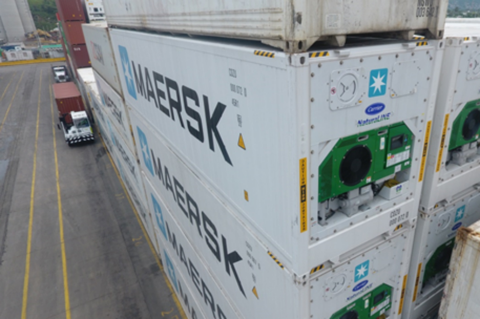 Naviera Maersk prueba en Santa Marta contenedores refrigerados