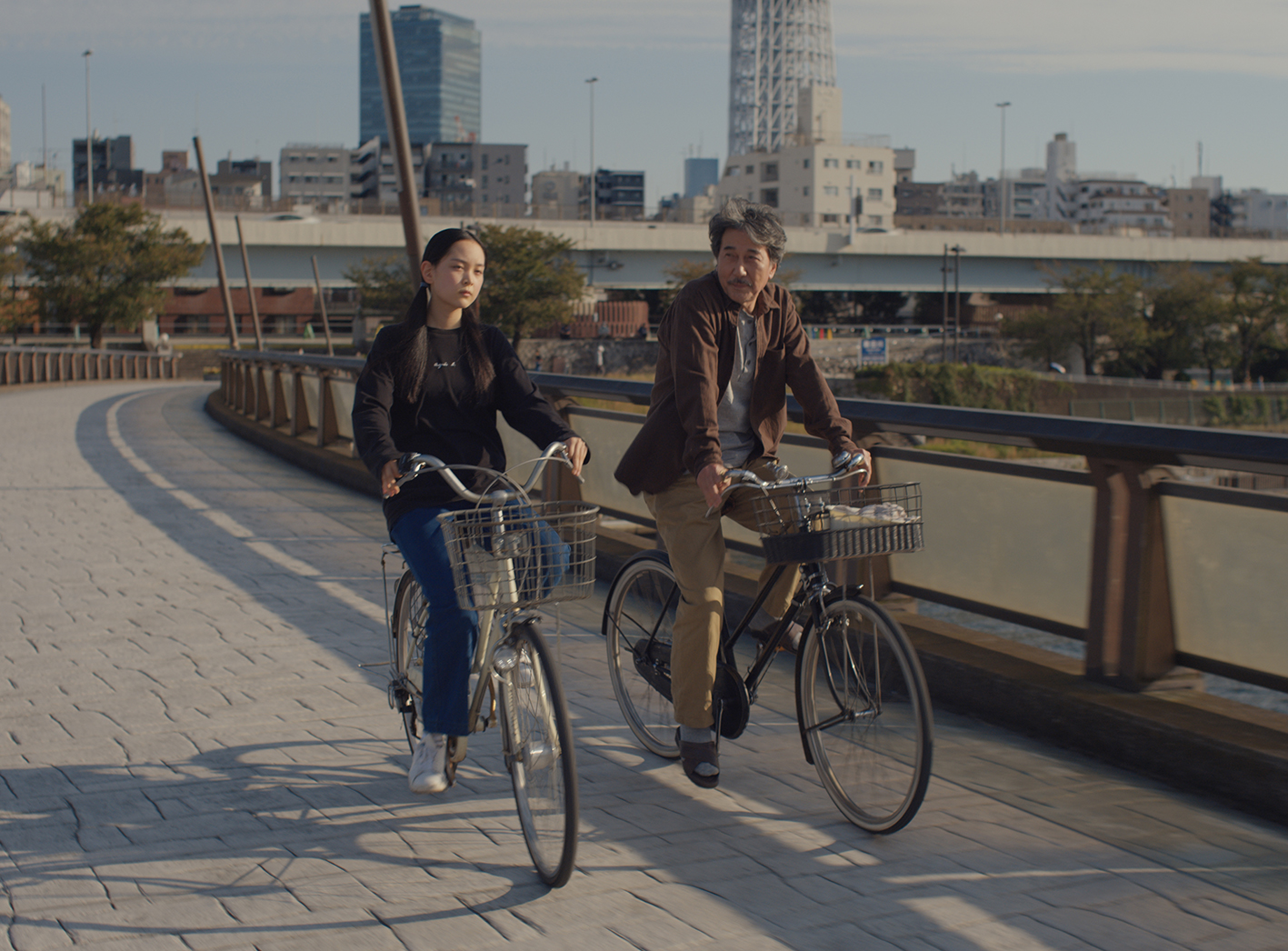 PERFECT DAYS del director Wenders
